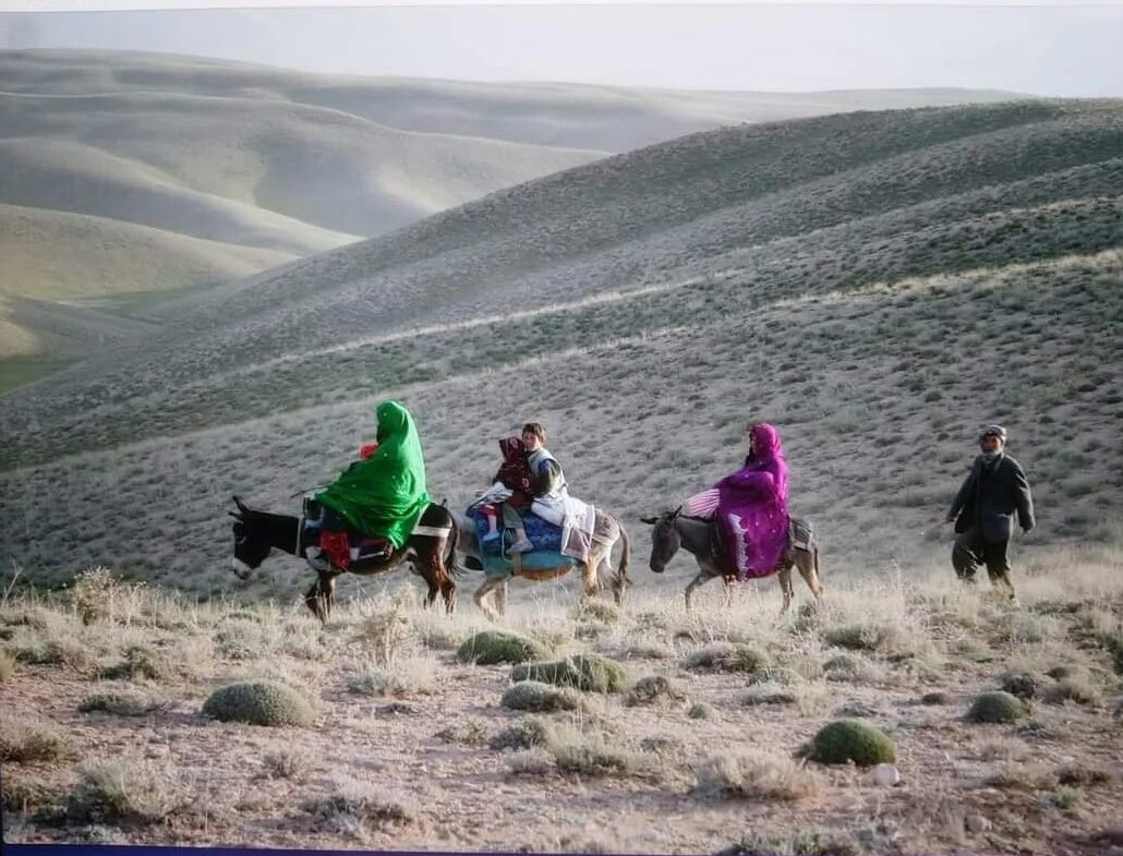 Drei Frauen in bunten Tüchern reiten auf Eseln über grüne Hügel in Bamiyan, ein Mann begleitet sie zu Fuß