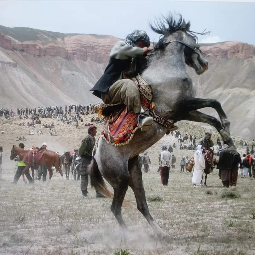 Reiter auf einem sich aufbäumenden Pferd bei einem traditionellen Buzkashi-Spiel, im Hintergrund eine große Zuschauermenge in den Bergen von Bamiyan